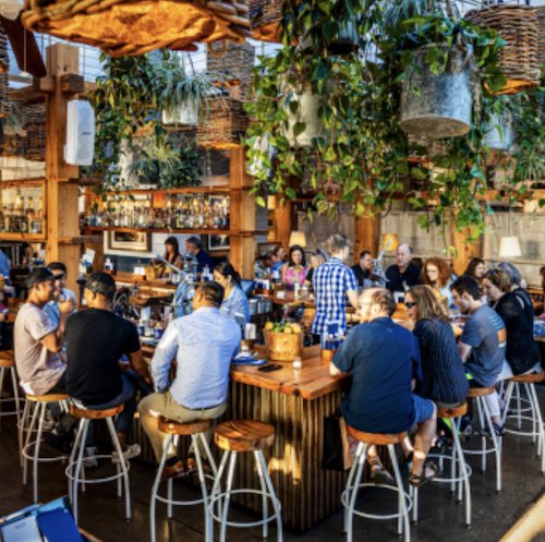 Screen Shot 2021-10-13 at 9.18.06 AM.png