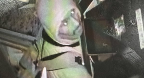 Screen Shot 2023-12-06 at 8.54.21 PM.png