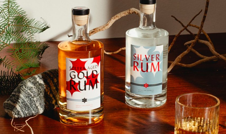 Screen Shot 2024-06-19 at 12.17.01 PM.png