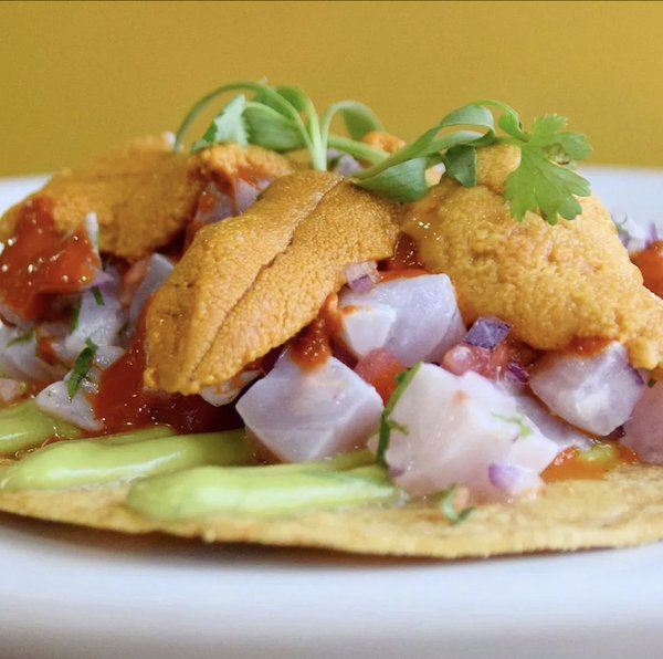 Screenshot 2024-08-13 at 9.14.50 AM.png