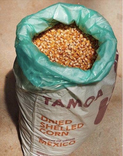 Tamoa corn.png