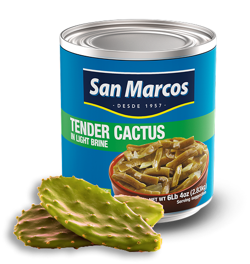 San Marcos cactus.png