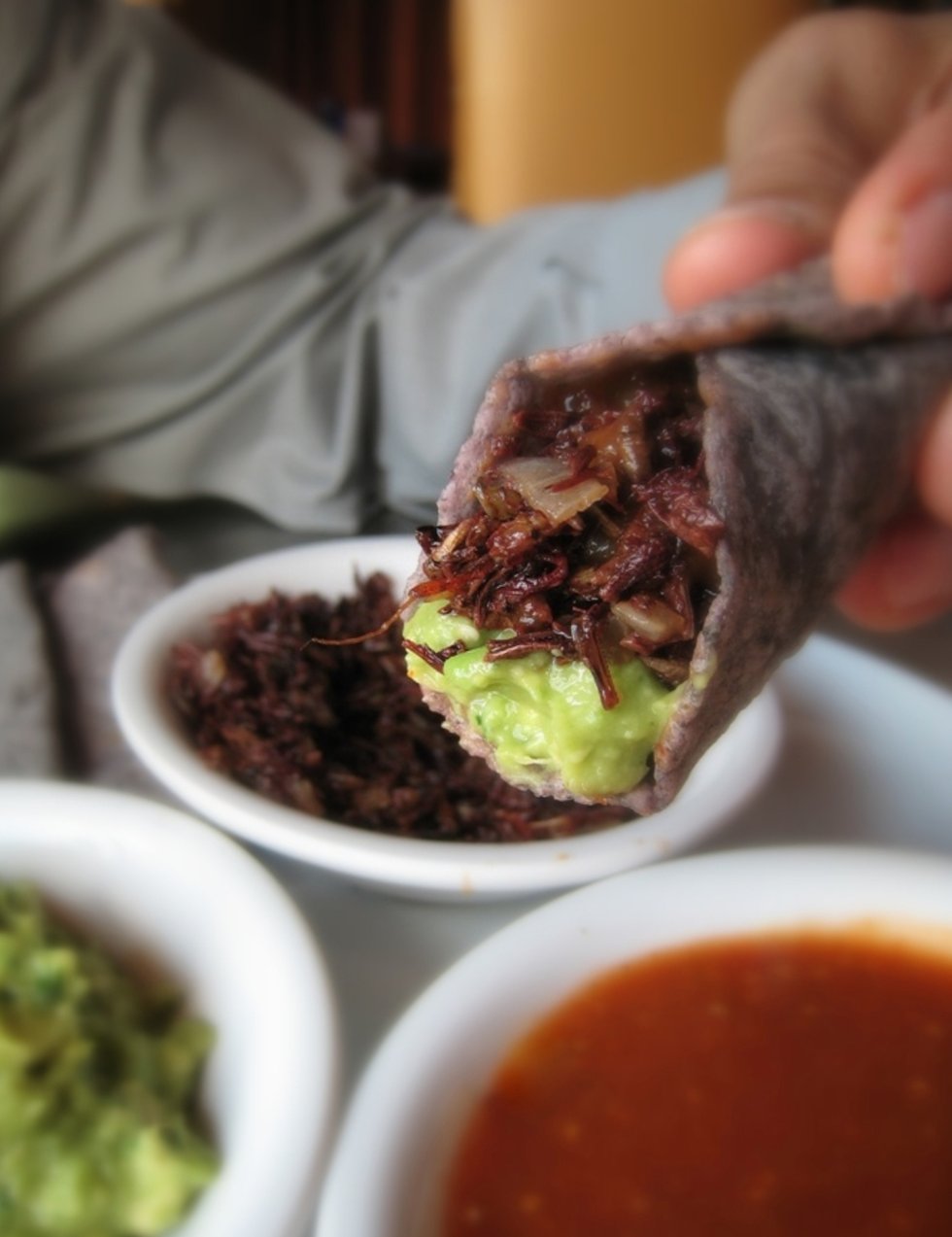 Hugo's chapulines taco.jpg