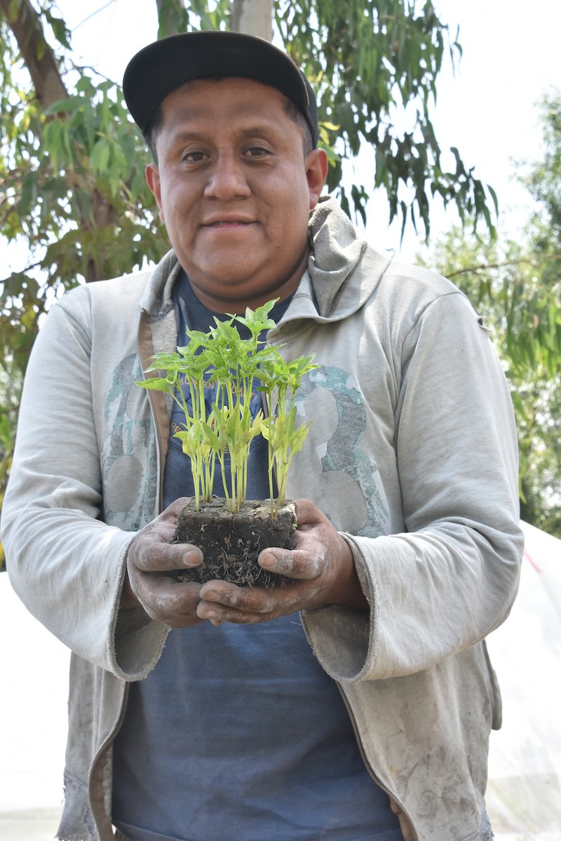 Zefferino junto a la planta de chile.JPG