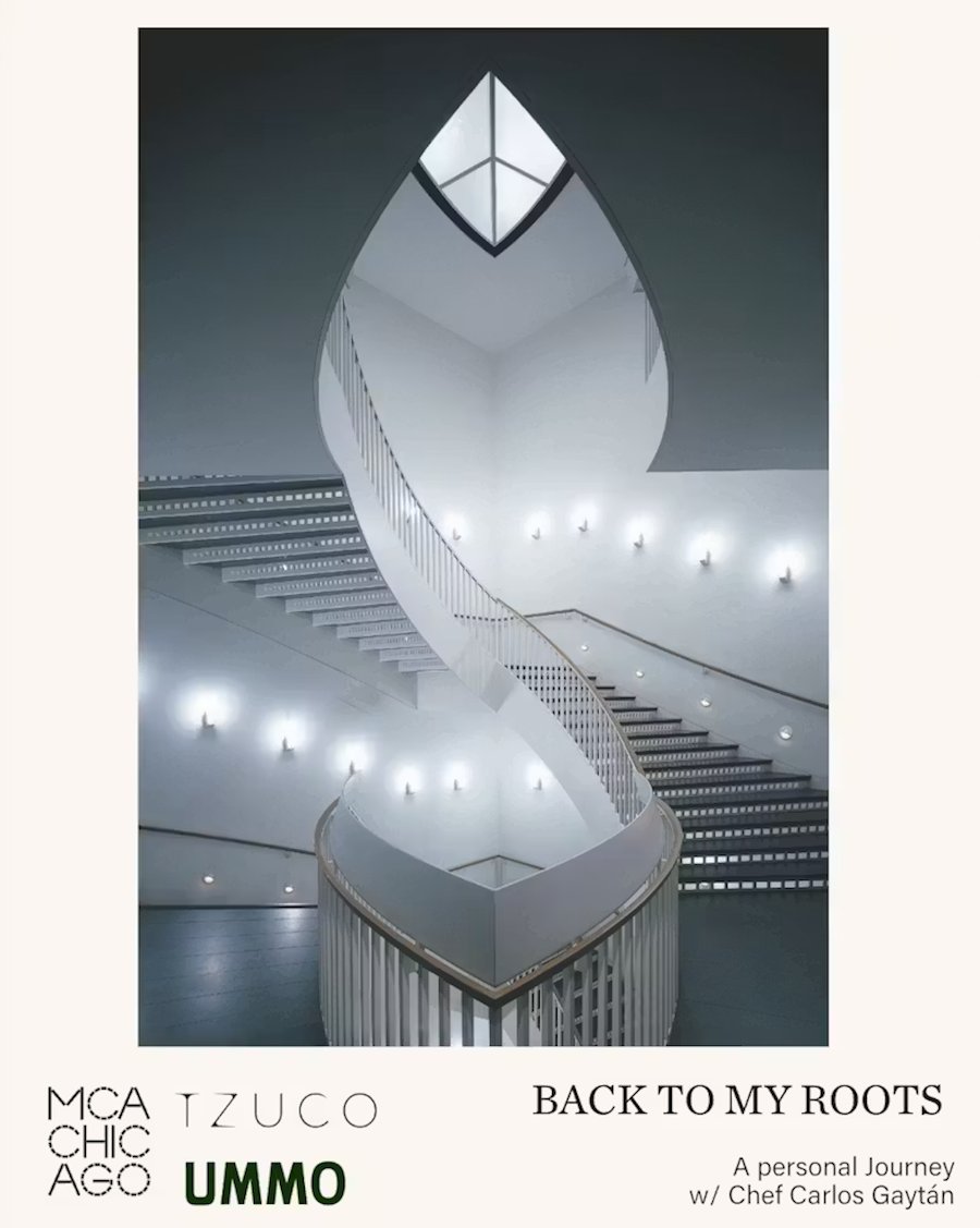 Tzuco:MCA pic.png